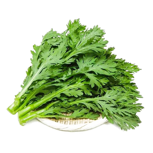 中叶茼蒿种子茼蒿菜种籽光杆茼蒿菜籽蒿子秆籽清香高杆皇帝菜种籽