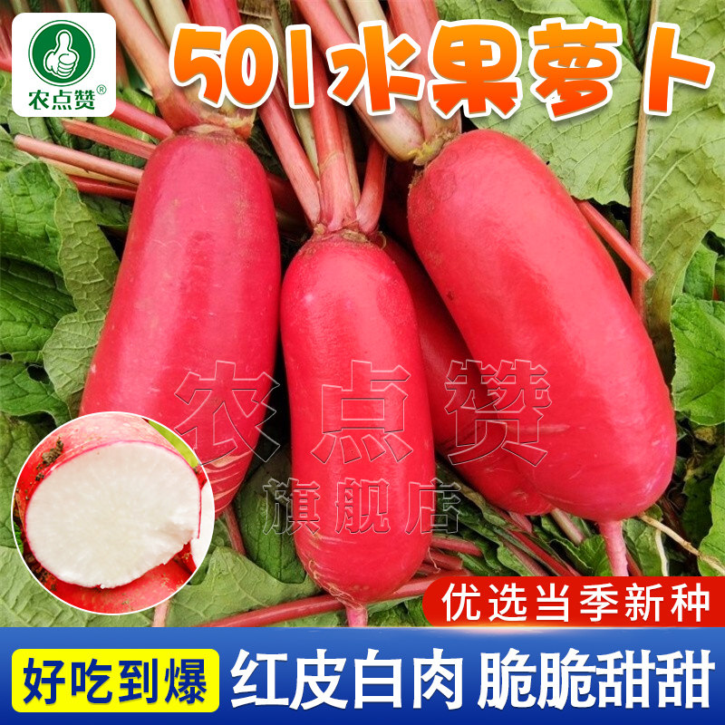 红萝卜种子罗卜种孑抗热耐寒抗旱甜脆生吃红皮白心水果萝卜种籽子