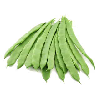 大扁青龙四季豆种子宽扁豆角种子东北芸豆种籽大刀豆种孑农家豆角