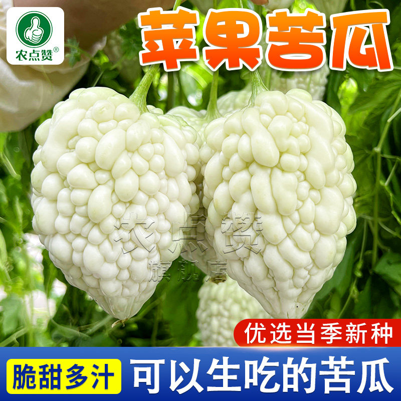 台湾苹果苦瓜种子特色白色苦瓜种籽白玉水果白苦瓜种孑爬藤苦瓜籽