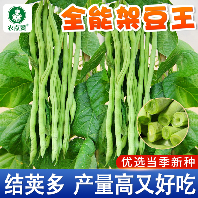 [高产]全能架豆王豆角种子