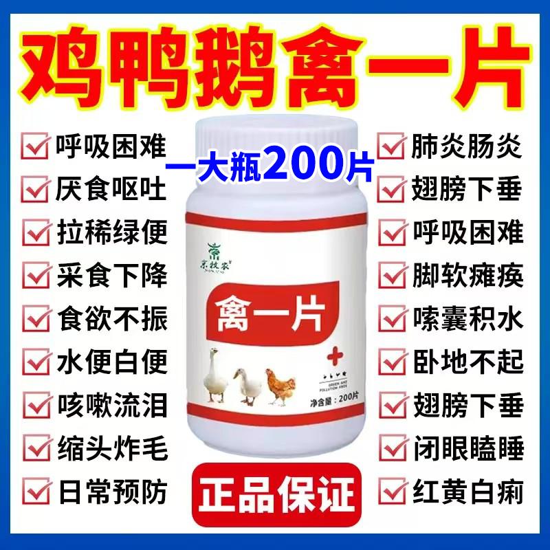 禽一片鸡鸭鹅发烧感冒流感不吃食没精神咳嗽咳喘呼噜拉稀正宗正品