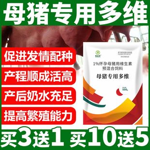 母猪多维种猪专用多维补充营养促发情配种保健母猪用预混料饲正品