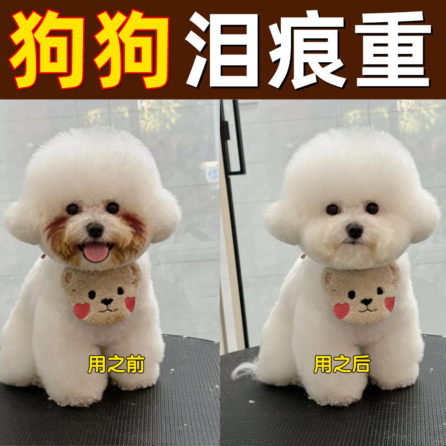 狗狗猫咪泪痕去除液比熊博美犬滴眼液擦清眼水眼屎多擦泪痕神器图片