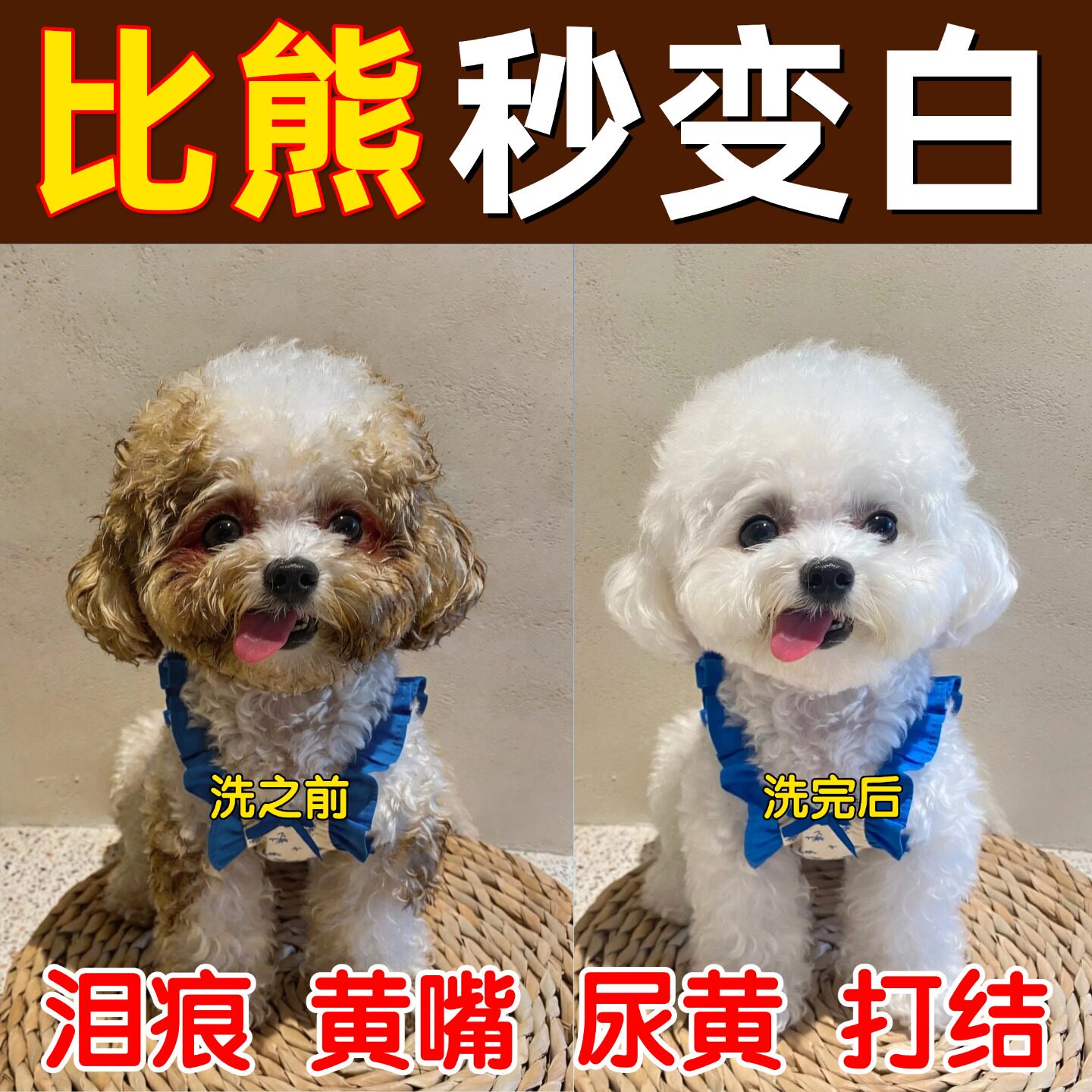 狗狗去泪痕沐浴露白毛专用持久留香除臭洗澡比熊猫咪宠物香波浴液