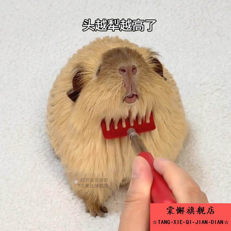 荷兰猪挠痒痒可伸缩杆宠物玩具兔子龙猫蜜袋鼯按摩梳子梳毛刷解痒