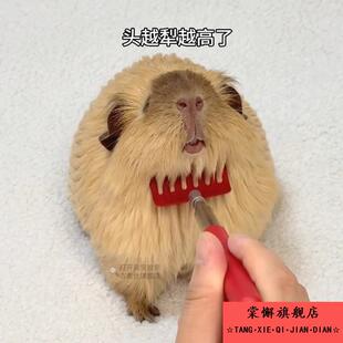 荷兰猪挠痒痒可伸缩杆宠物玩具兔子龙猫蜜袋鼯按摩梳子梳毛刷解痒