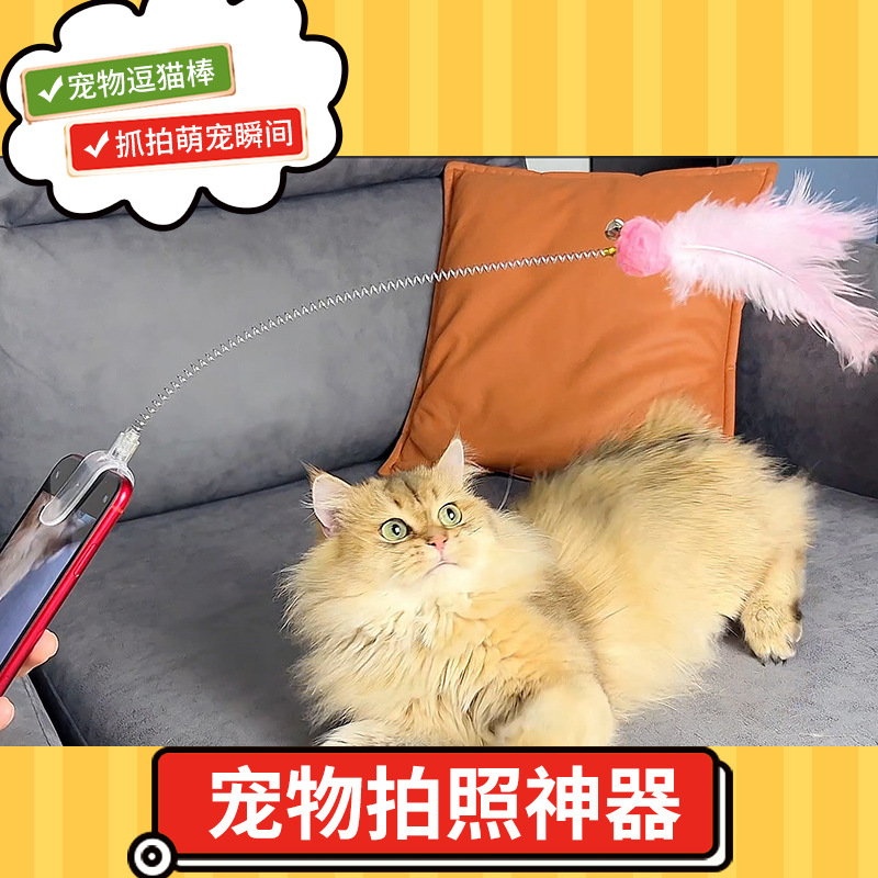 【人宠互动】羽毛铃铛互动逗猫棒宠物玩具猫咪用品狗玩具