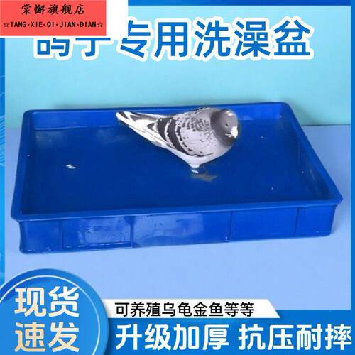鸽子洗澡专用盆赛鸽信鸽大号澡盆浴盆防摔鸽子用具鸽具栖架站架