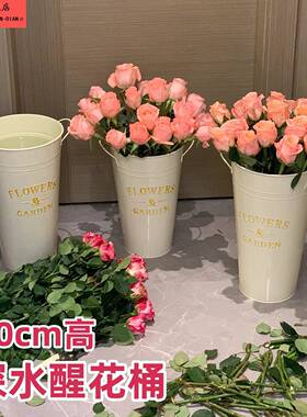 北欧铁艺醒花桶深水鲜花干花桶花店家用插花客厅装饰大号落地花瓶