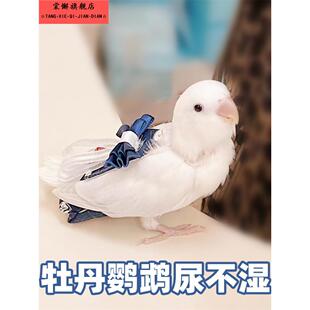 鹦鹉纸尿裤一次性牡丹屎尿兜虎皮玄凤尿布鸟用尿不湿粪便屁兜飞行