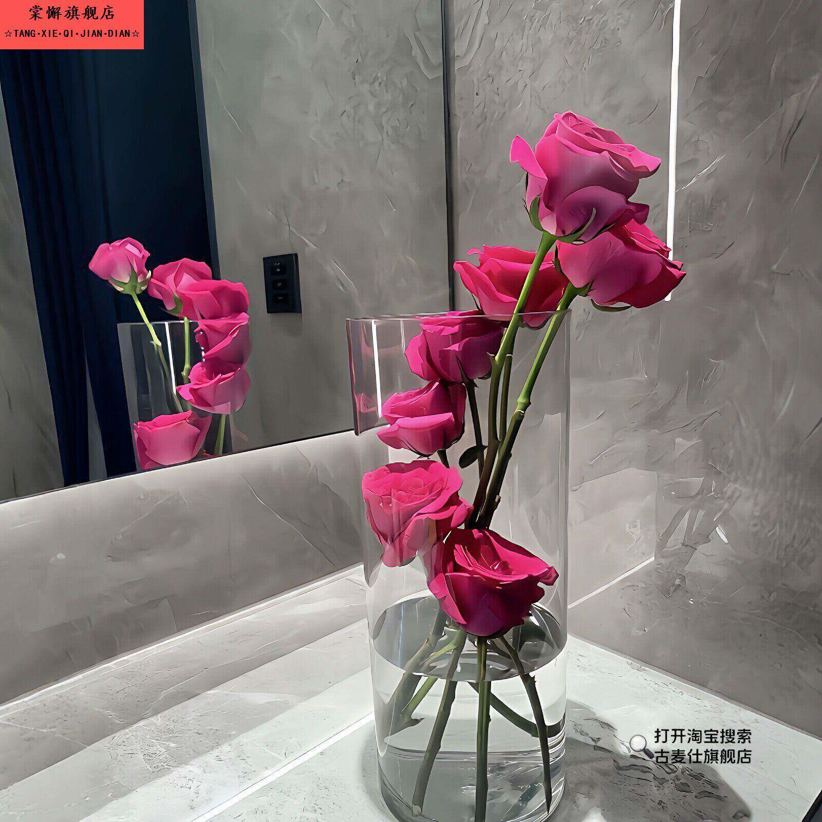 弗洛伊德玫瑰盆栽亚克力花瓶防摔直筒插花醒花桶室内客厅桌面摆件