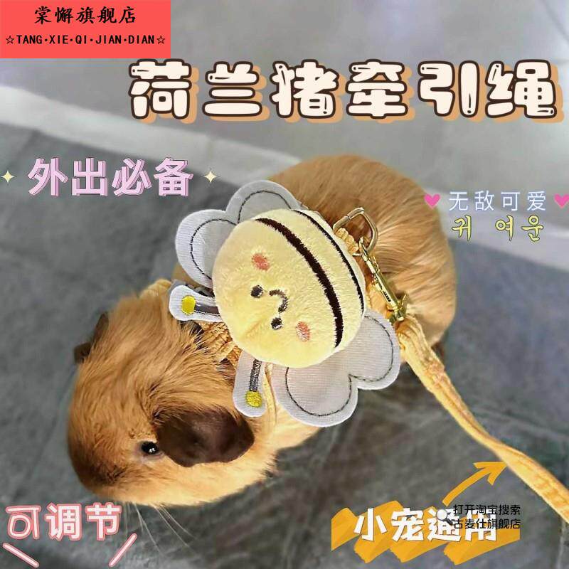 兔兔荷兰猪牵引绳挣脱侏儒兔绳外出专用小兔子调节绳子宠物通用