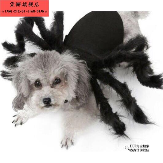 搞怪宠物蜘蛛衣服大狗金毛法斗狗狗猫咪变身装黑色小型中型