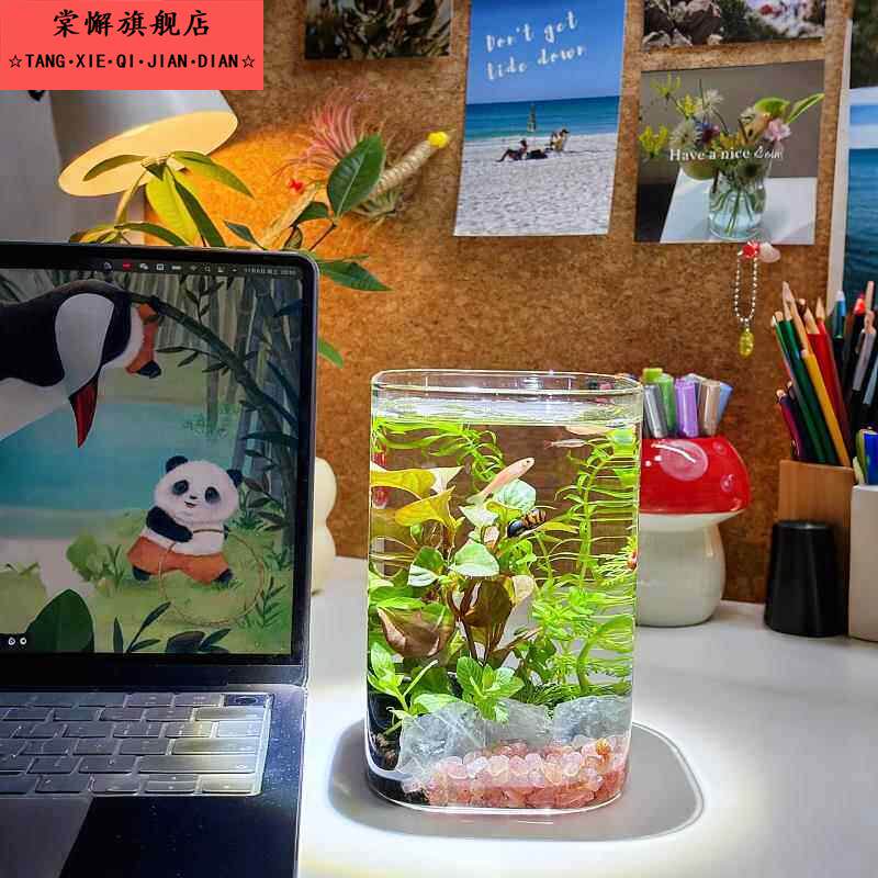 迷你鱼缸方形透明玻璃生态缸桌面摆件高颜值养鱼神器治愈系宿舍