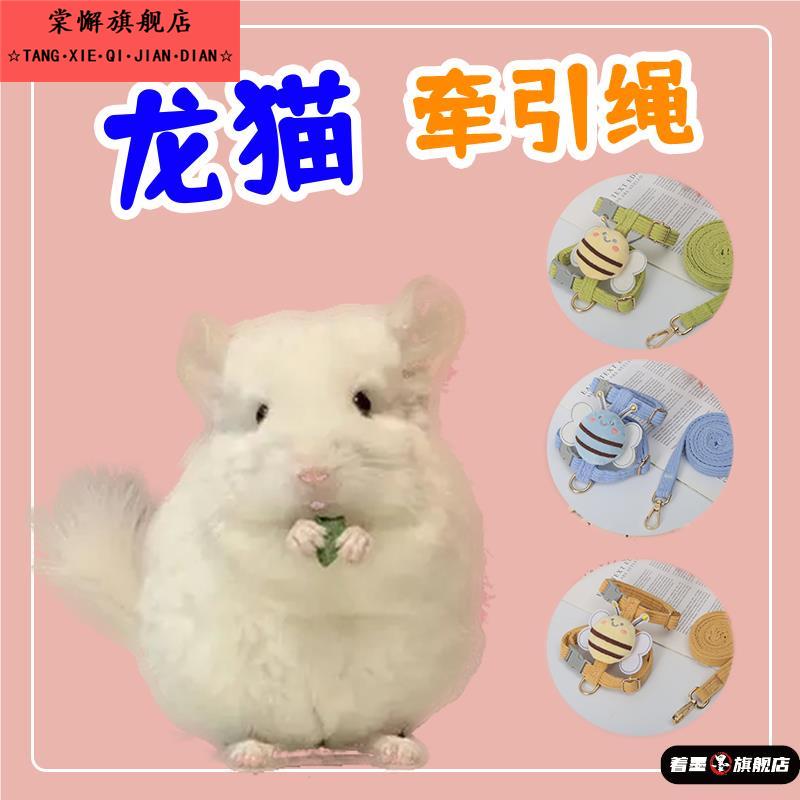 龙猫牵引绳专用外出遛宠物神器放风荷兰猪豚鼠土拨鼠兔子外带包