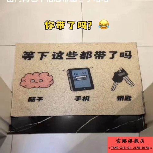 等下这些都带了吗带脑子钥匙手机出门提醒入户门玄关地垫搞怪脚垫