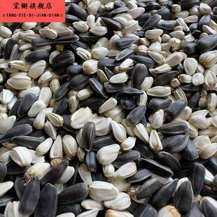 油葵黑珍珠小瓜子红花籽2合1混合中型鹦鹉鸟食鸟粮