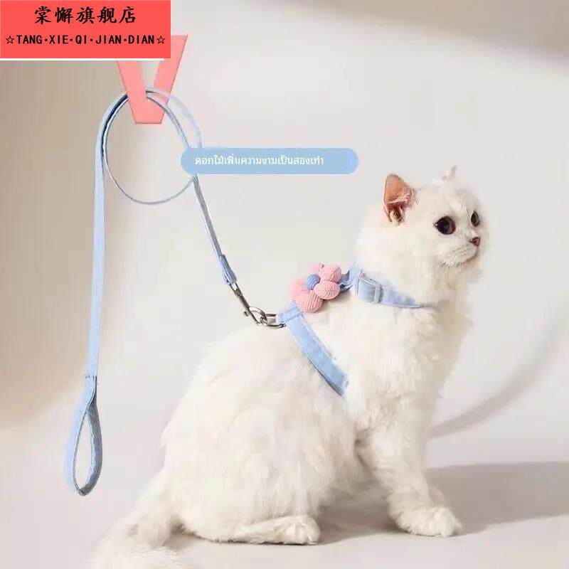 猫绳猫项圈拴猫绳套脖防挣脱猫咪牵引绳防挣脱遛猫牵引绳猫绳子猫