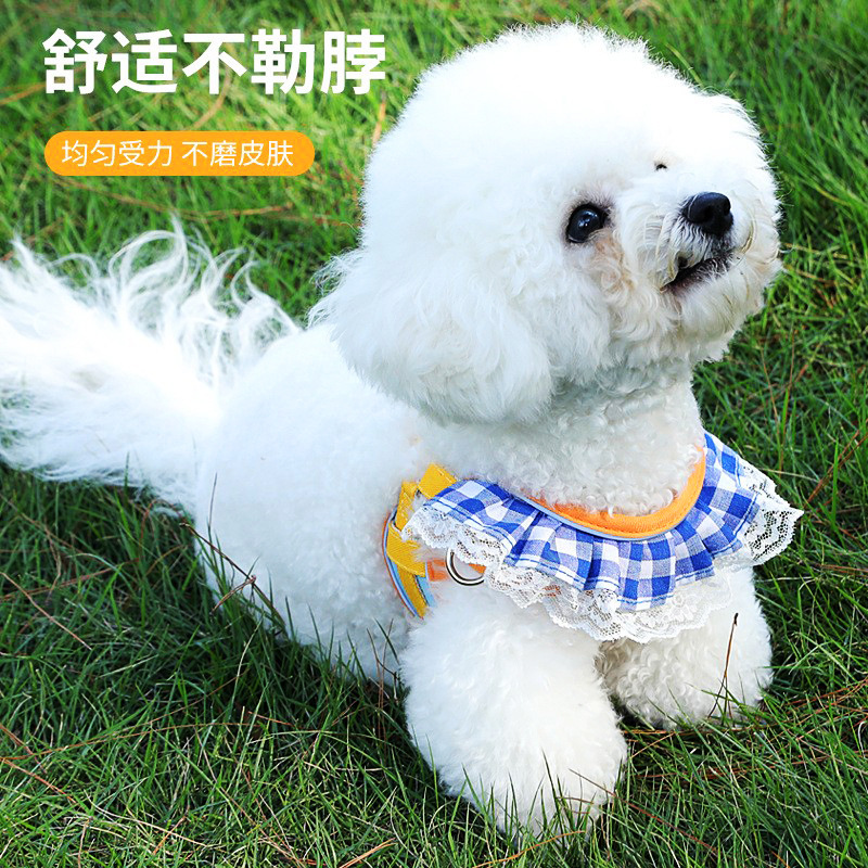 宠物牵引绳 外出狗狗胸背带 宠物衣服 遛狗牵引绳 工型猫咪牵引绳