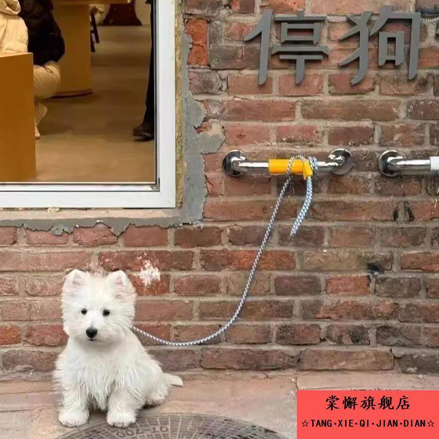墙栓把手栓狗停狗位狗狗安全停泊狗位宠物停车位休息牵引绳挂绳处,宠物/宠物食品及用品,猫牵引绳,淘宝优惠券,粉丝福利购,淘宝优惠卷
