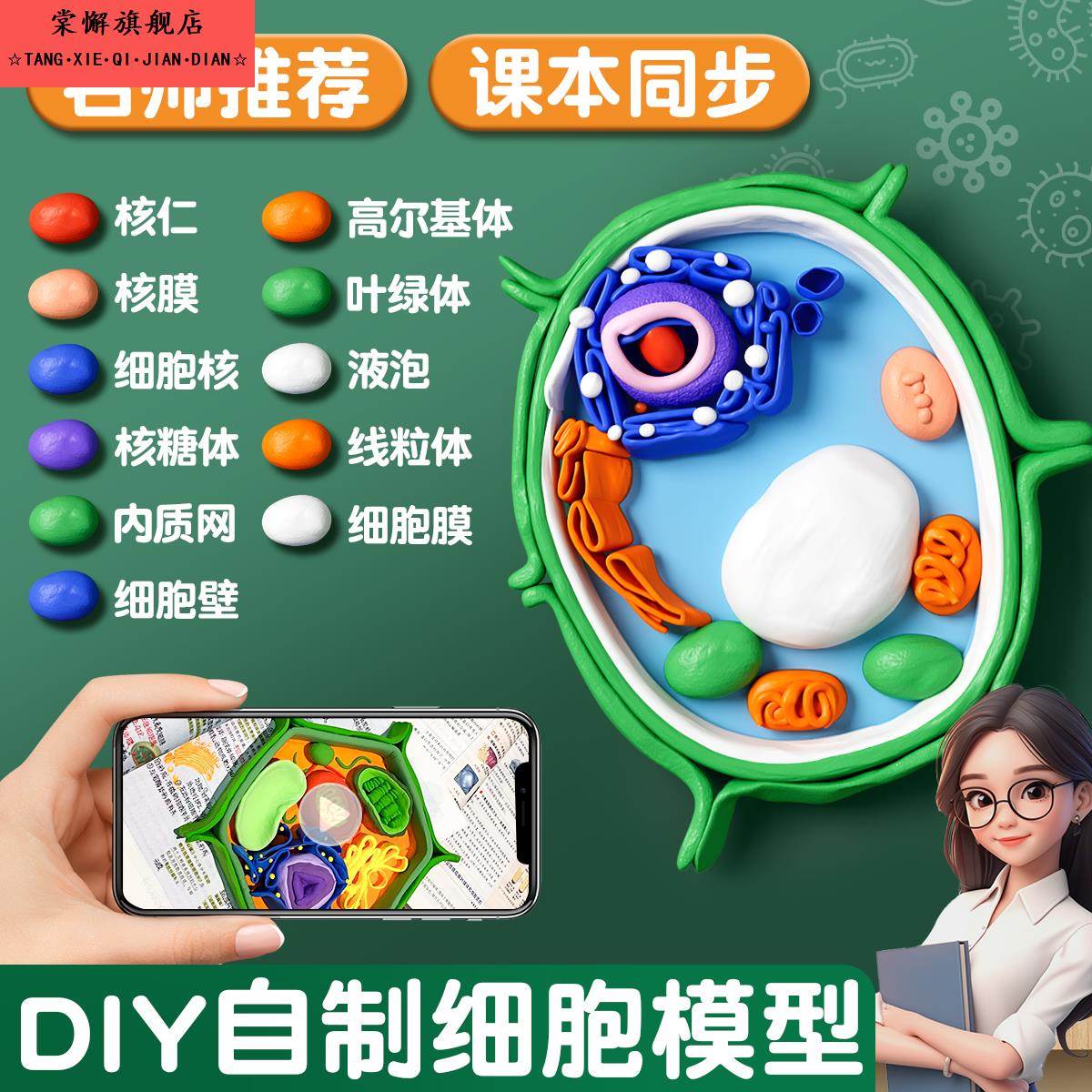 3d打印动植物细胞模型A生物科学实验器材教师道具益智趣味礼物玩