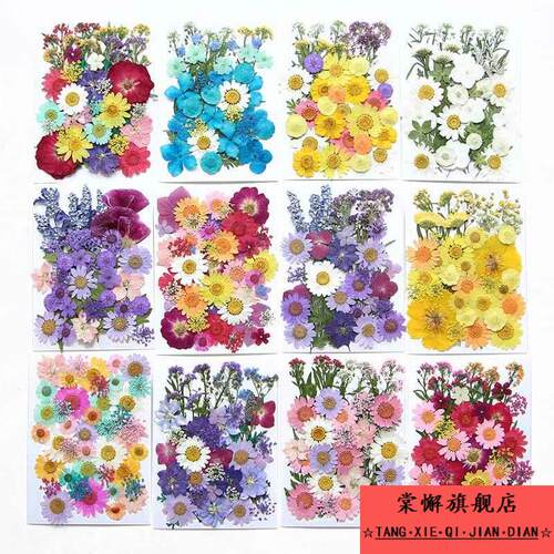 干花手工diy材料押花植物树叶标本贴枫叶书签压花装饰画天然真花