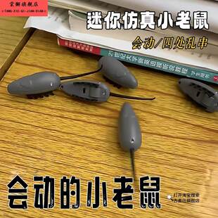 会动的小老鼠玩具创意彷真迷你小老鼠爬行电动公仔小耗子逗猫神器