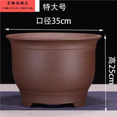 特大紫砂花盆陶瓷客厅简约金钟盆景盆虎皮兰花盆专用特大号紫砂盆
