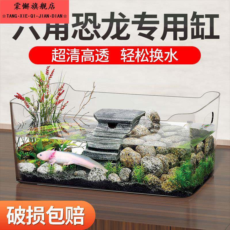 德国六角恐龙专用缸蝾螈饲养缸长方形生态压克力鱼缸客厅小型家用