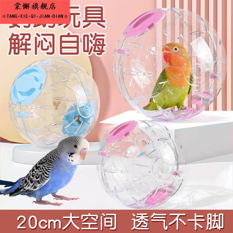 鹦鹉跑球玩具自嗨解闷神器虎皮牡丹解压专用运动跑步球新型逗小鸟