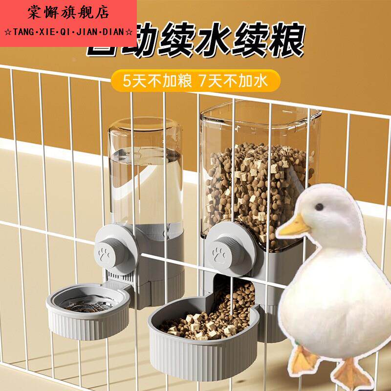 柯尔鸭自动喂食器饮水机鸭子碗食盆粮碗悬挂式小宠防打翻喝水的碗