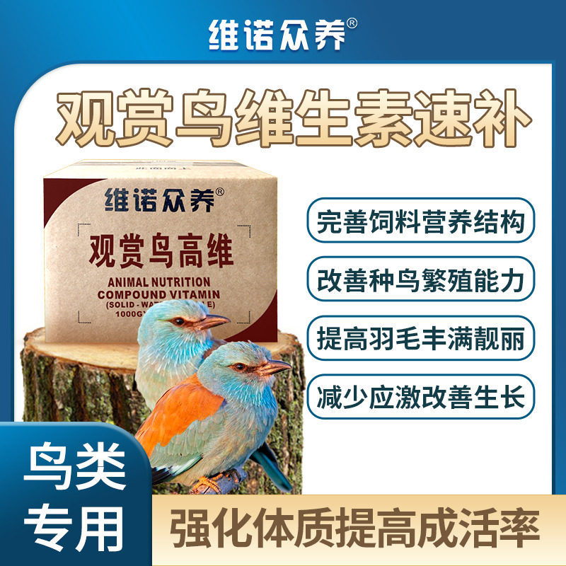 观赏鸟高维水溶性维生素预混料改善生长羽毛亮丽提高繁殖减少应激