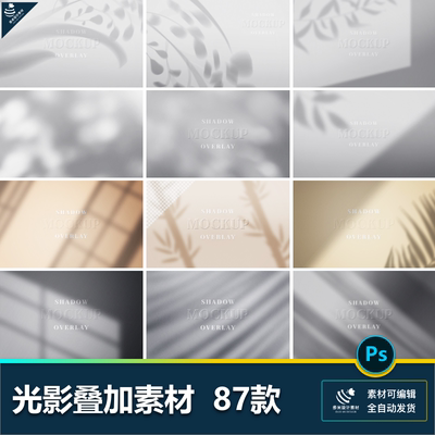 自然光影逼真模糊墙壁植物枝叶窗子叠加投影光影光线PSD背景素材