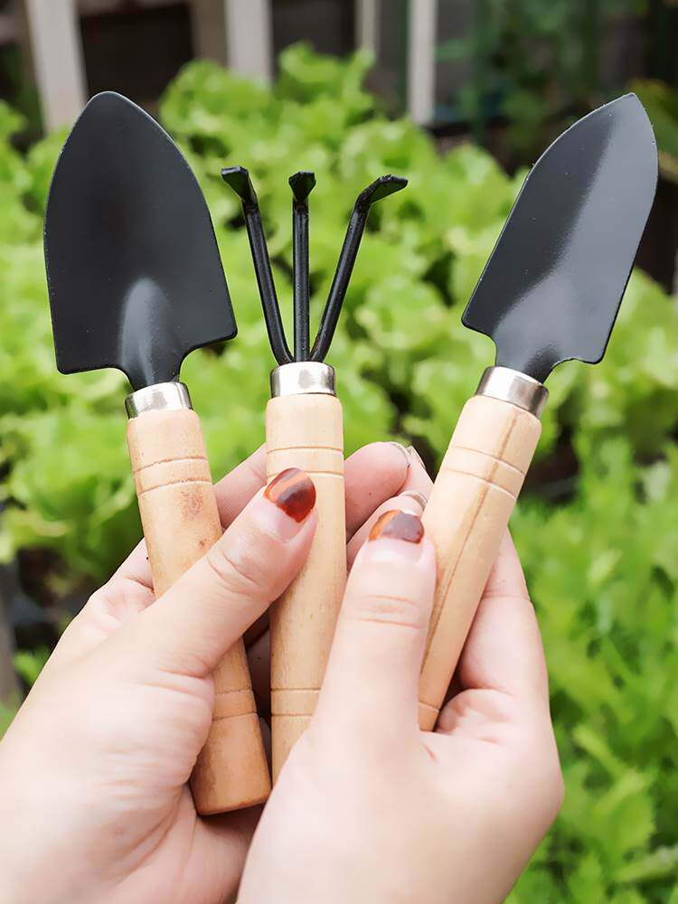 绿植松土小铲子盆栽种花铲土园艺工具三件套装迷你diy养花用铁铲