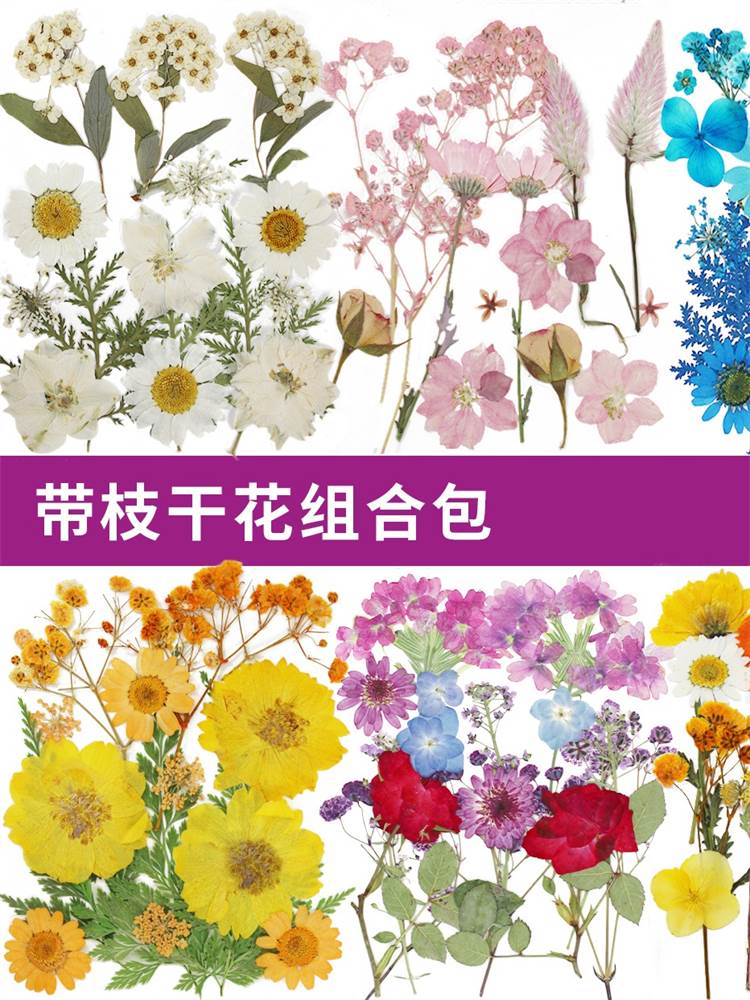 DIY押花混合干花树叶包亲子手工滴胶干花材料包压花真花植物标本