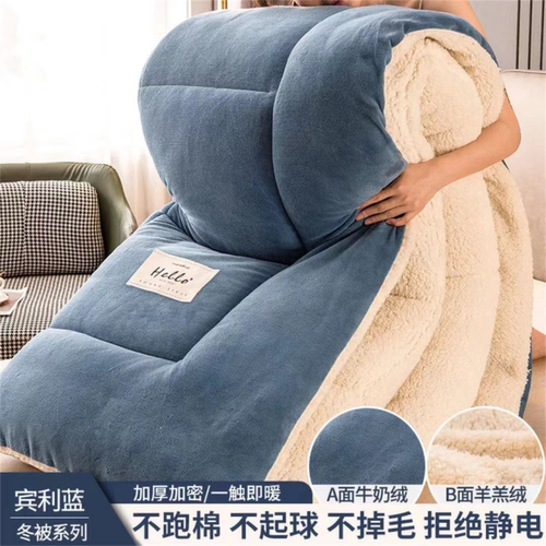 2025加厚保暖牛奶绒羊羔绒双面绒冬被子被芯春秋被冬天学生单被