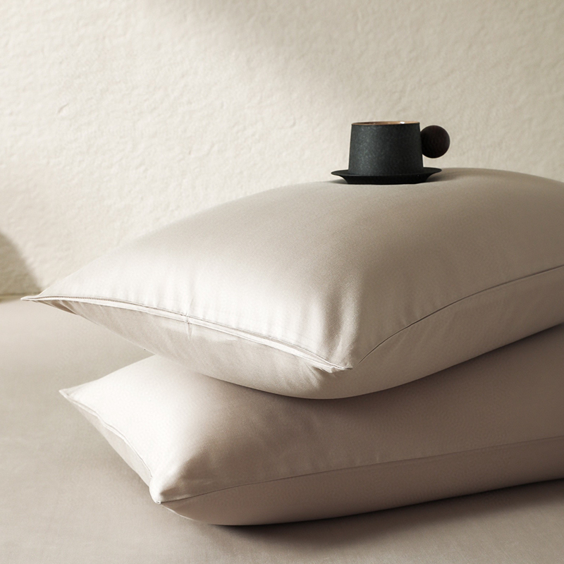 秋冬季纯色天丝棉磨毛枕套一对装