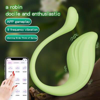 App Control Egg Vibrator for Women Wearable Vibrating G Spot