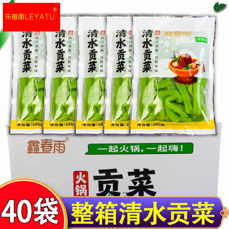 现货速发现成贡菜260g*40袋整箱商用火锅用鲜贡菜无叶新鲜苔干响