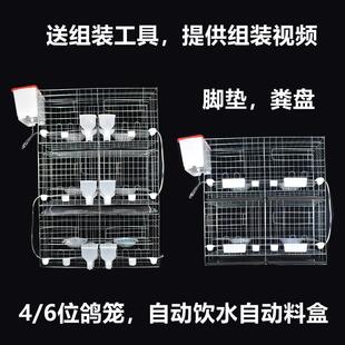 包邮 鸽子笼家用养殖信鸽配对笼肉鸽繁殖笼巢箱特大号 养鸽子专用笼