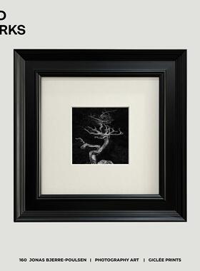 WED WORKS 小众极简单色艺术摄影组合背景墙咖啡厅书房挂画装饰画