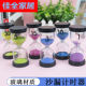 儿童刷牙沙漏计时器3三分钟5半一小时1时间流沙瓶漏沙斗计时器玻