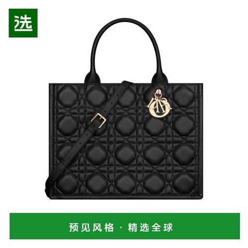 香港直邮Dior 中号徽标单肩包 DIOZ8TV6手提包