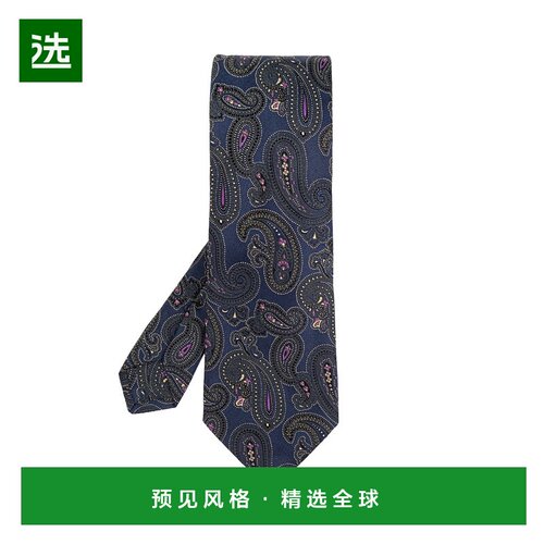 欧洲直邮etro 男士 领带新款