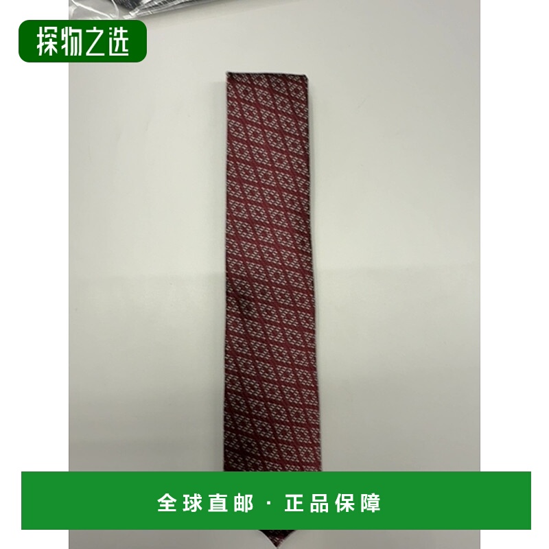 香港直邮Zegna 尖头领带 Z9D33TA91P8杰尼亚