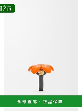 1h可退 欧洲直邮LOEWE/罗意威 女士金色/橙色纯银/珐琅吊坠