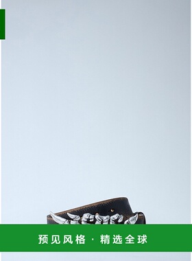 香港直邮Diesel 迪赛 男士 棕色 B-Graffiti 腰带 X10598PR080