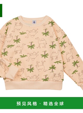 欧洲直邮Petit Bateau 小帆船 男孩 FLOT 卫衣 多彩