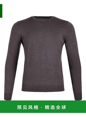 香港直邮TAGLIATORE 男士卫衣 MARLEYGSI2401046 SS2025 深棕色